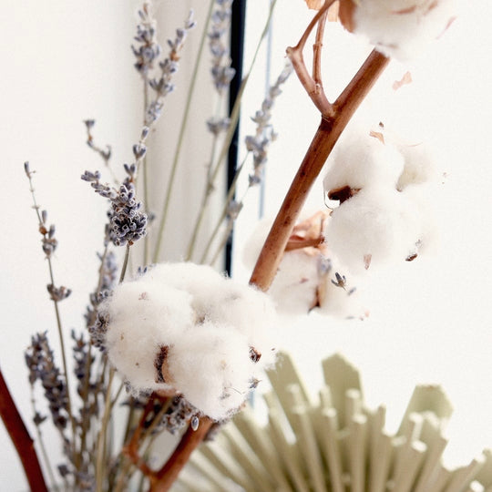 Why Choose Certified Organic Cotton